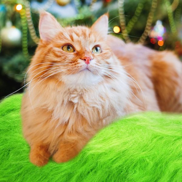 Jetec 4 Pcs Lime Green Faux Fur 10 x 20 Inch Christmas Faux Fur Fabric Squares Fluffy Halloween Fabric Patches Winter Soft Plush for DIY Craft, Gnomes, Cosplay Costume, Decoration-4