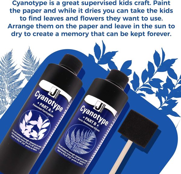 Jacquard Cyanotype - for Photographic Blueprints on Paper and Fabric - 2 Component Sensitizer Set - Bundled with Moshify Sponge Brush for Application-3